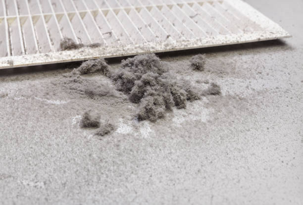 Best Ventilation Cleaning Services  in Bayou Gauche, LA