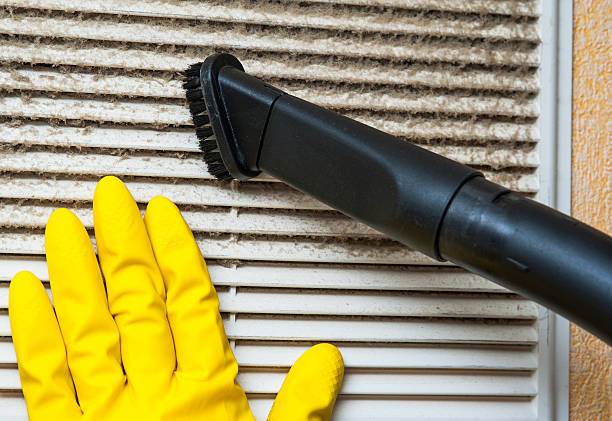 Best Affordable Duct Cleaning Services  in Bayou Gauche, LA