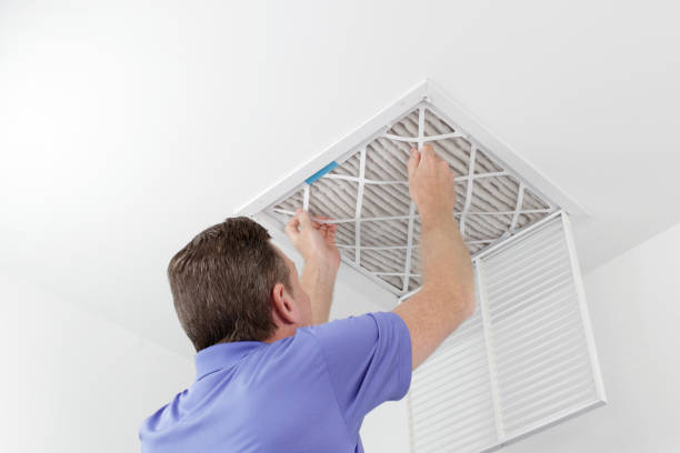 Best Air Duct Mold Removal  in Bayou Gauche, LA